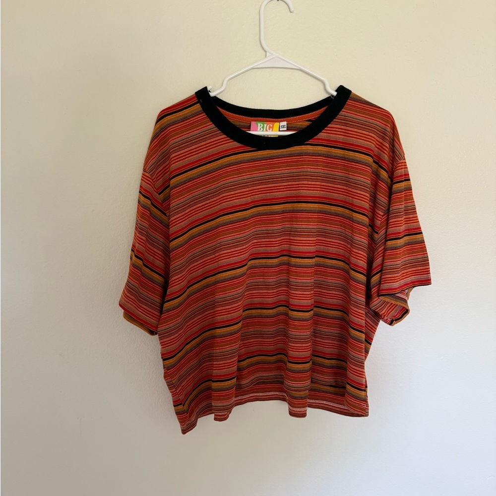 Big Bud Press Striped Cropped T-Shirt